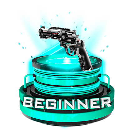 Beginner